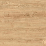belago Core 30 - Eiche Natur hell